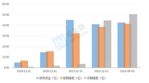 格科微布局中高像素CIS與自建Fab廠 短期財(cái)務(wù)承壓，長(zhǎng)期戰(zhàn)略可期
