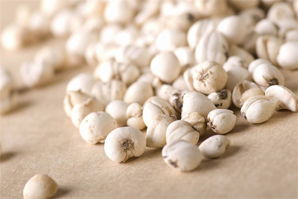 綠生藥業 專注天然養身，科技賦能保健食品新未來